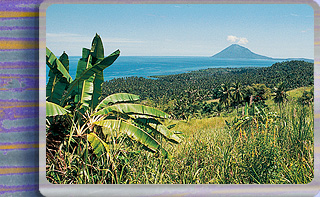 Trailblazer Manado Bay